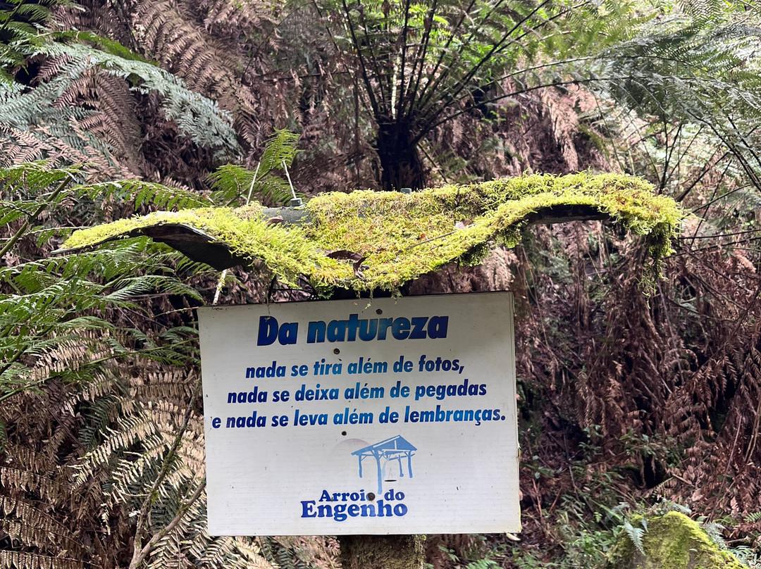 URUBICI - Cachoeira da Neve-Urubici必去景点