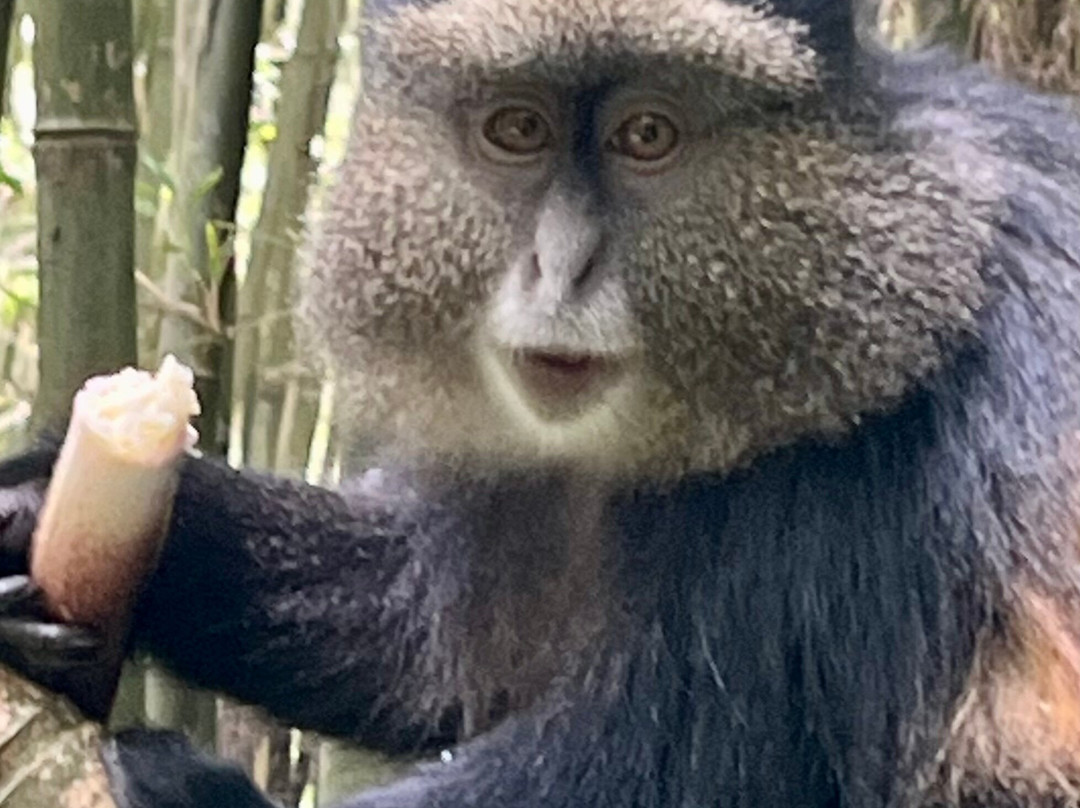 Grassrootz Adventures Uganda-坎帕拉必去景点