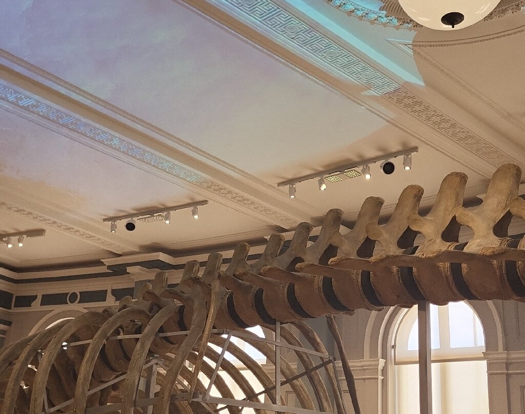Hull Maritime Museum-赫尔河畔金斯顿必去景点