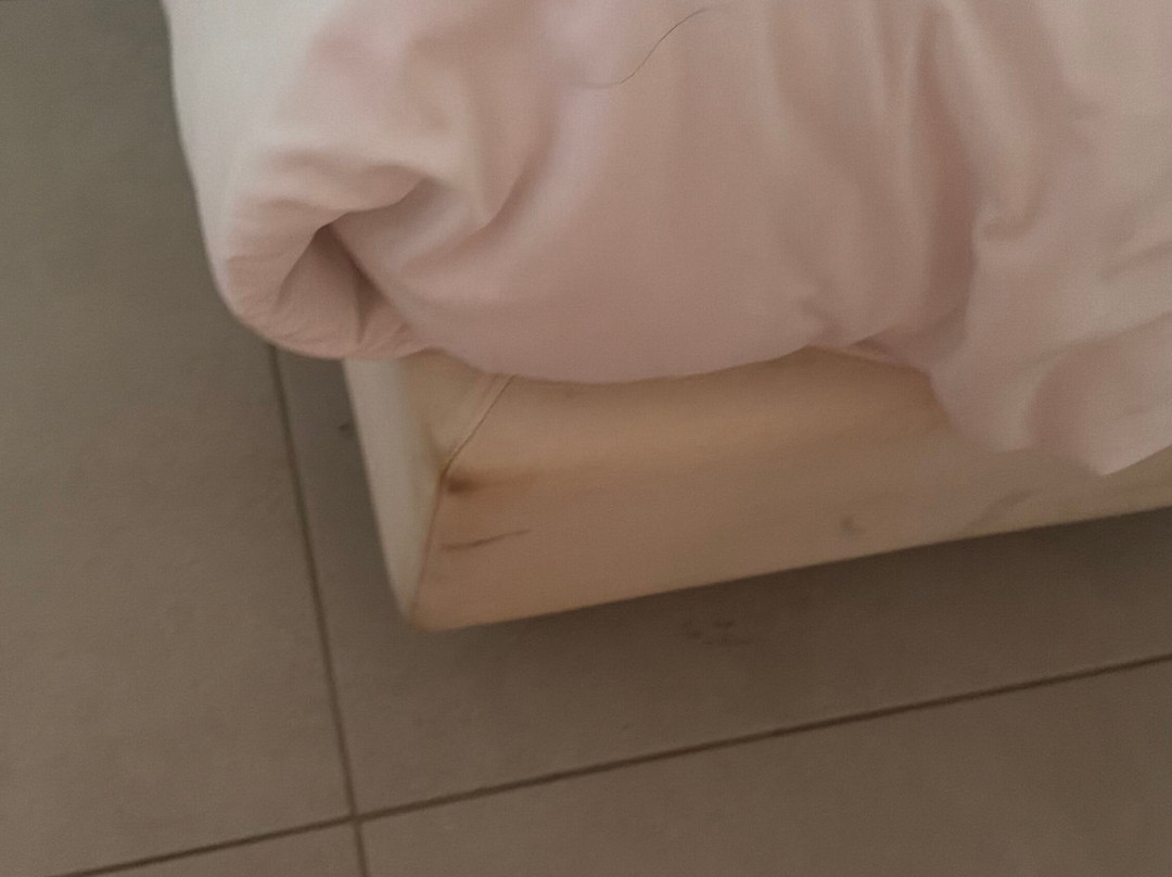 佩内洛普村主图