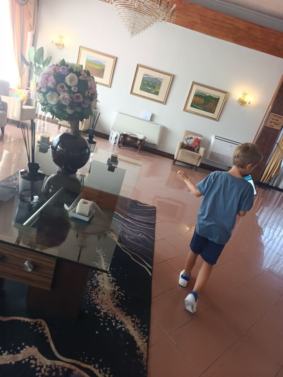 奥尼克斯酒店-旅行者