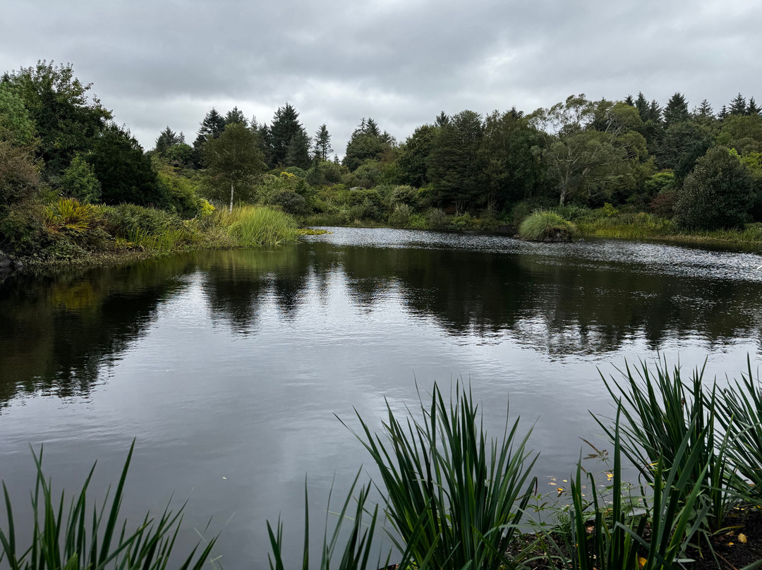Glenwhan Gardens-Dunragit必去景点