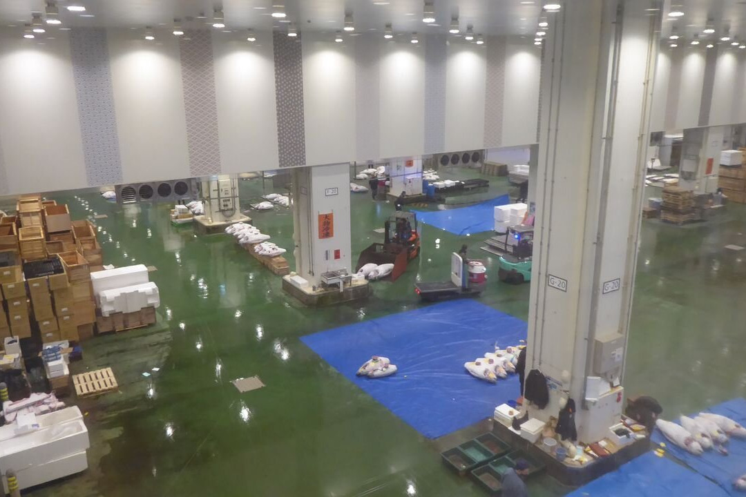 Toyosu Market-Toyosu必去景点