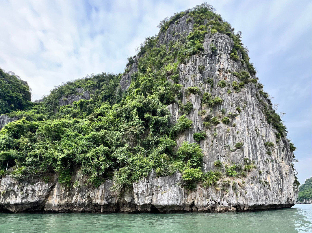 Aime'e Cruises-Quang Ninh必去景点