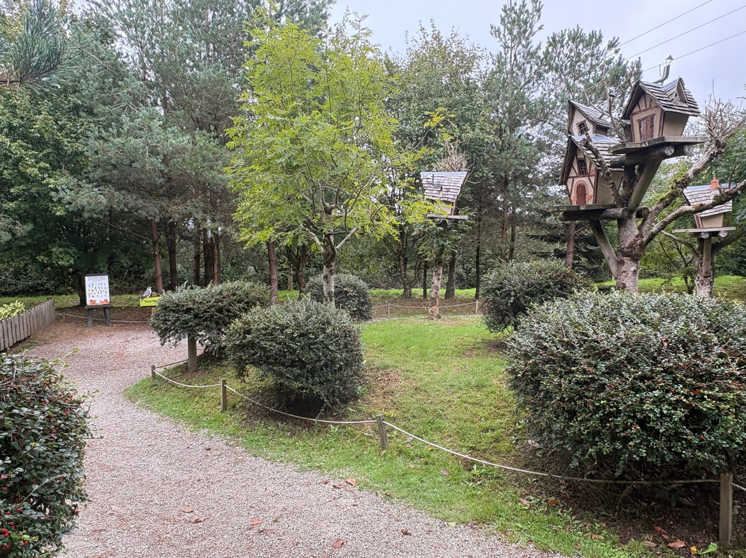 Hidden Valley The Puzzle Park-Egloskerry必去景点