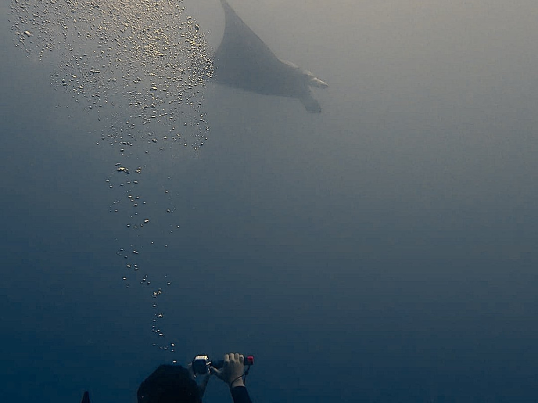 Himmafushi Scuba Adventure-Himmafushi Island必去景点