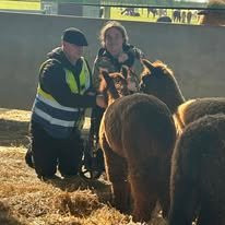 The Alpaca Centre at JandJ Alpacas-特伦特河畔纽瓦克必去景点