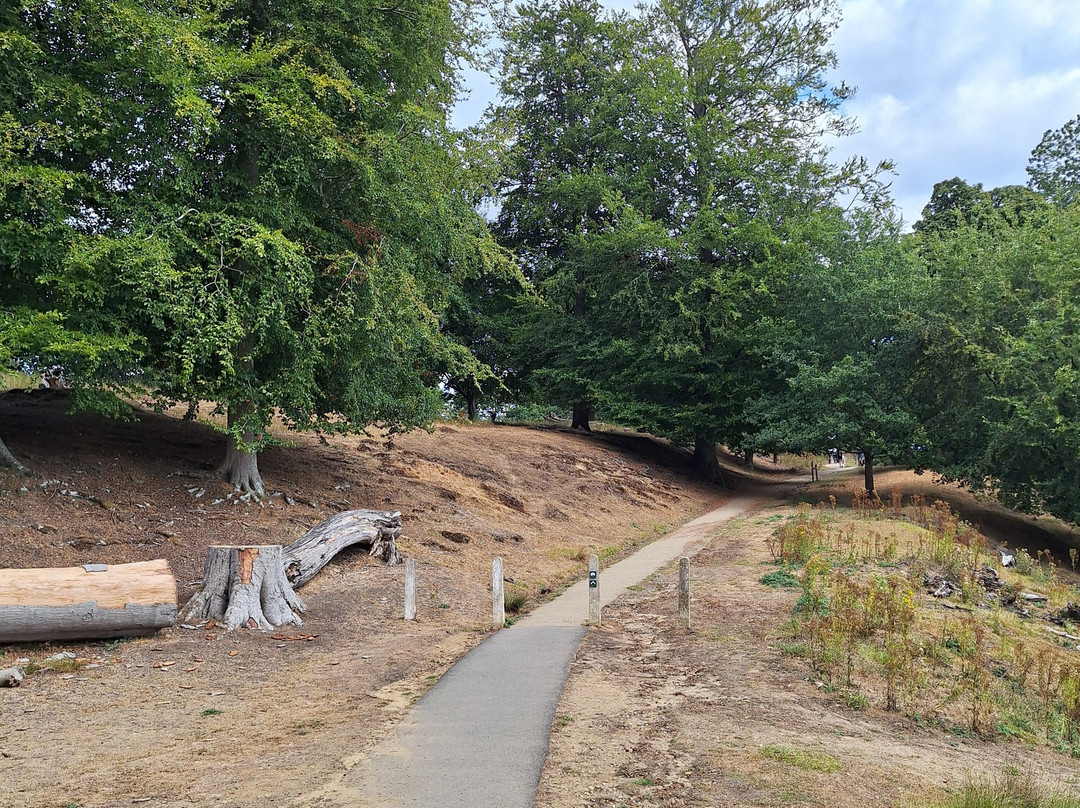 Knole Park-Sevenoaks必去景点