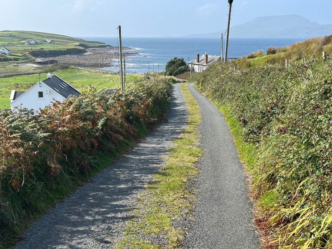 Connemara Adventure Tours-Leenane必去景点