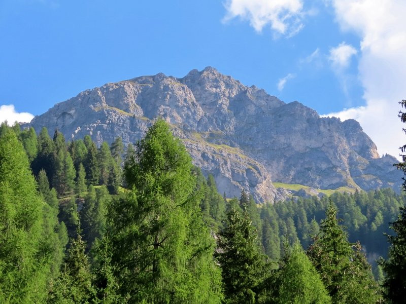 Passeggiata - Strada dei Siori-Selva di Cadore必去景点