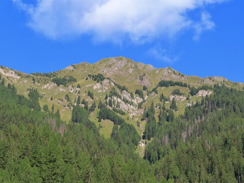 Passeggiata - Strada dei Siori-Selva di Cadore必去景点