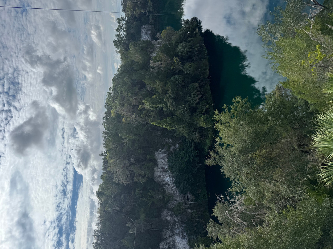 Canyons Zip Line & Canopy Tours-奥卡拉必去景点