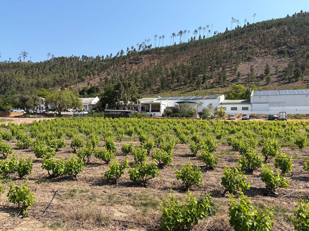 Franschhoek Wine Tram-法兰舒克必去景点