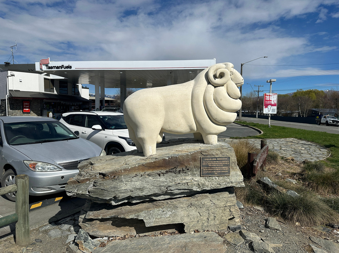 Omarama Sheep Statue-奥马拉马必去景点
