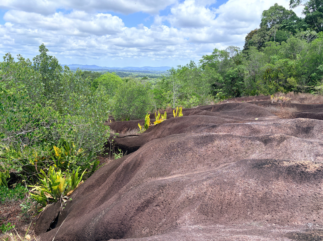 Inselberg Savane Roche Virginie-Regina必去景点