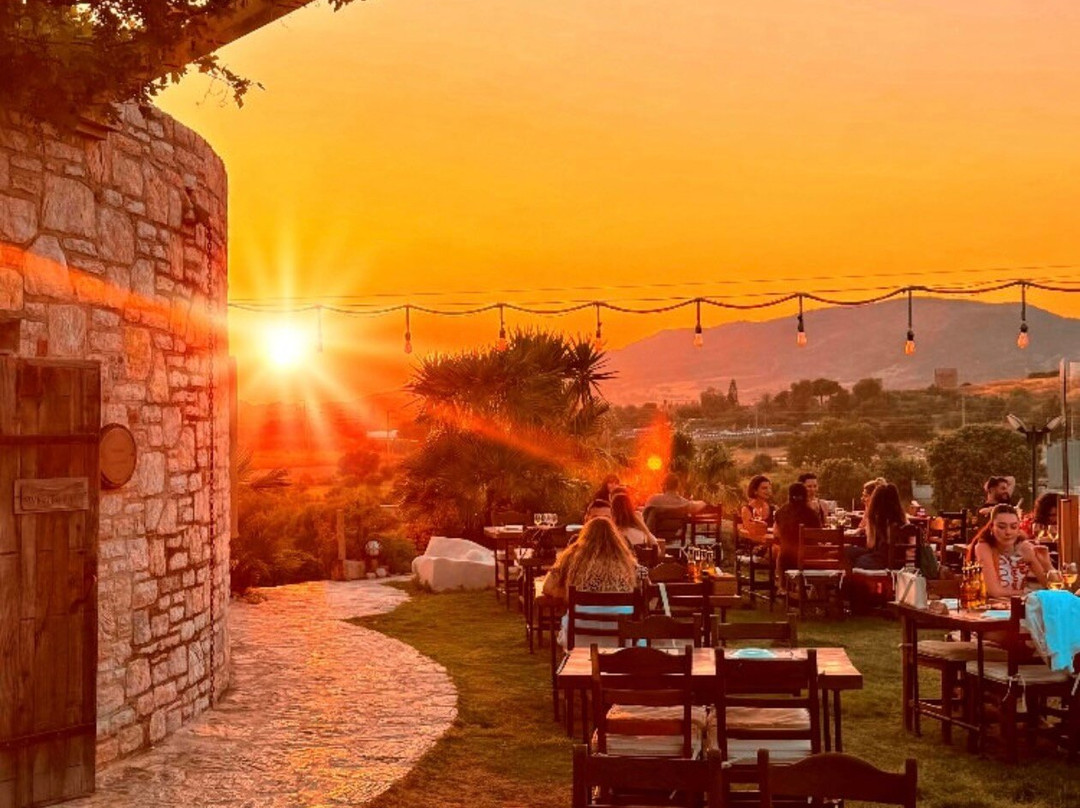 Datca Vineyard & Winery-Datca必去景点