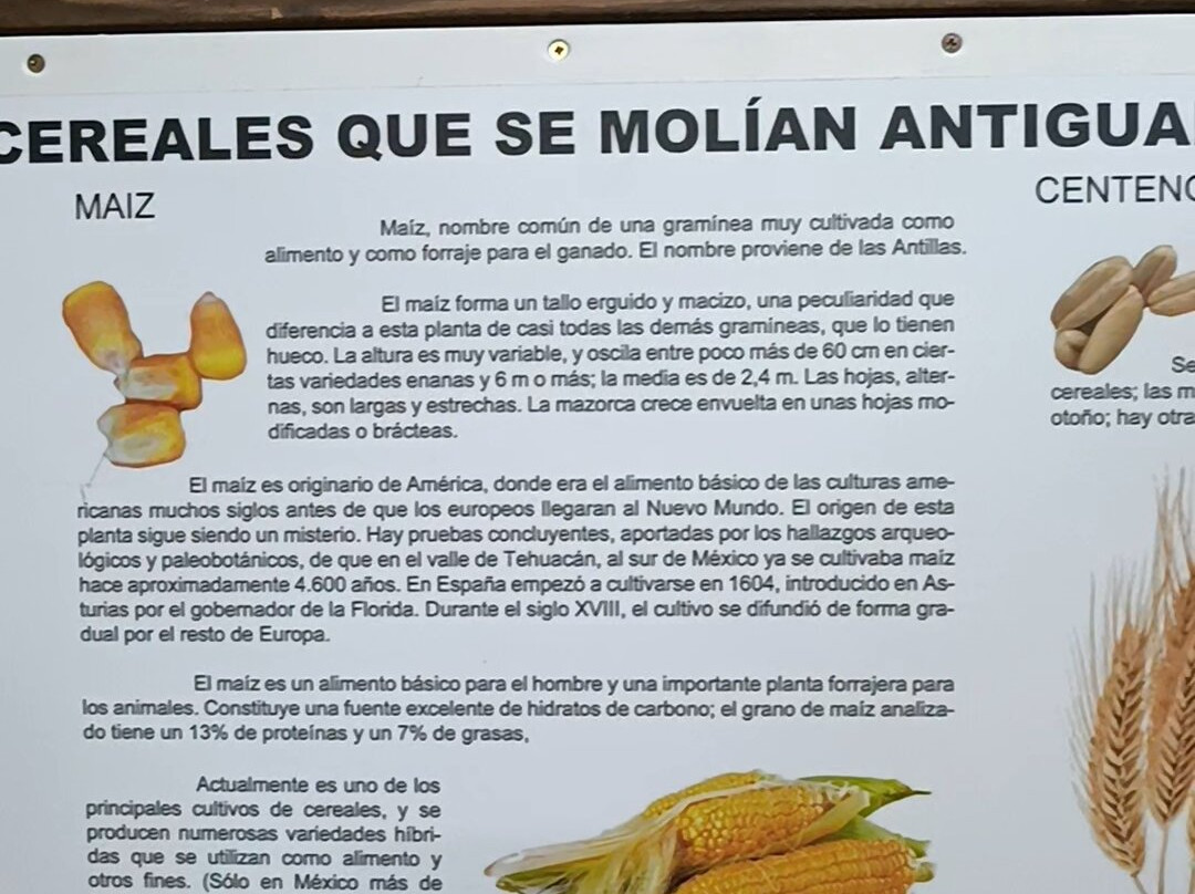 Museo Molinos Mazonovo-Taramundi必去景点