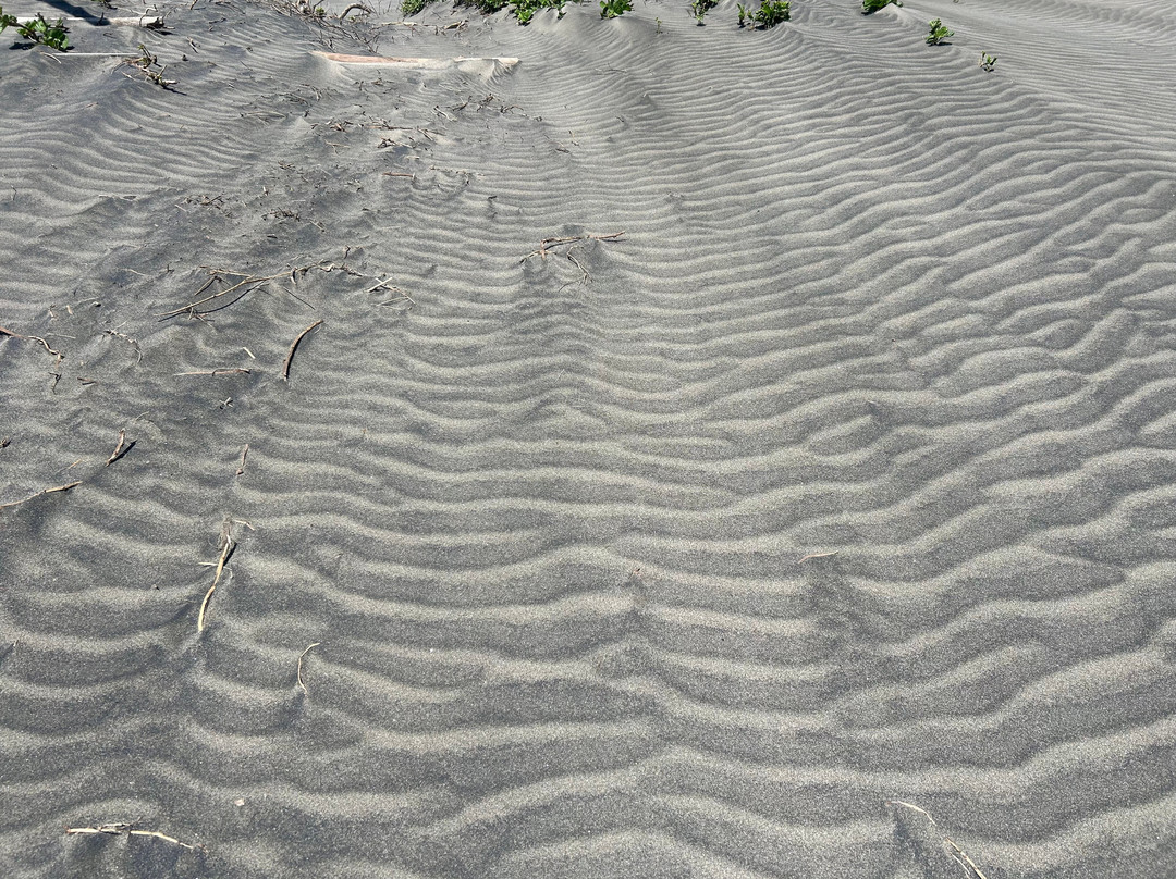 Sigatoka Sand Dunes National Park-辛加东卡必去景点