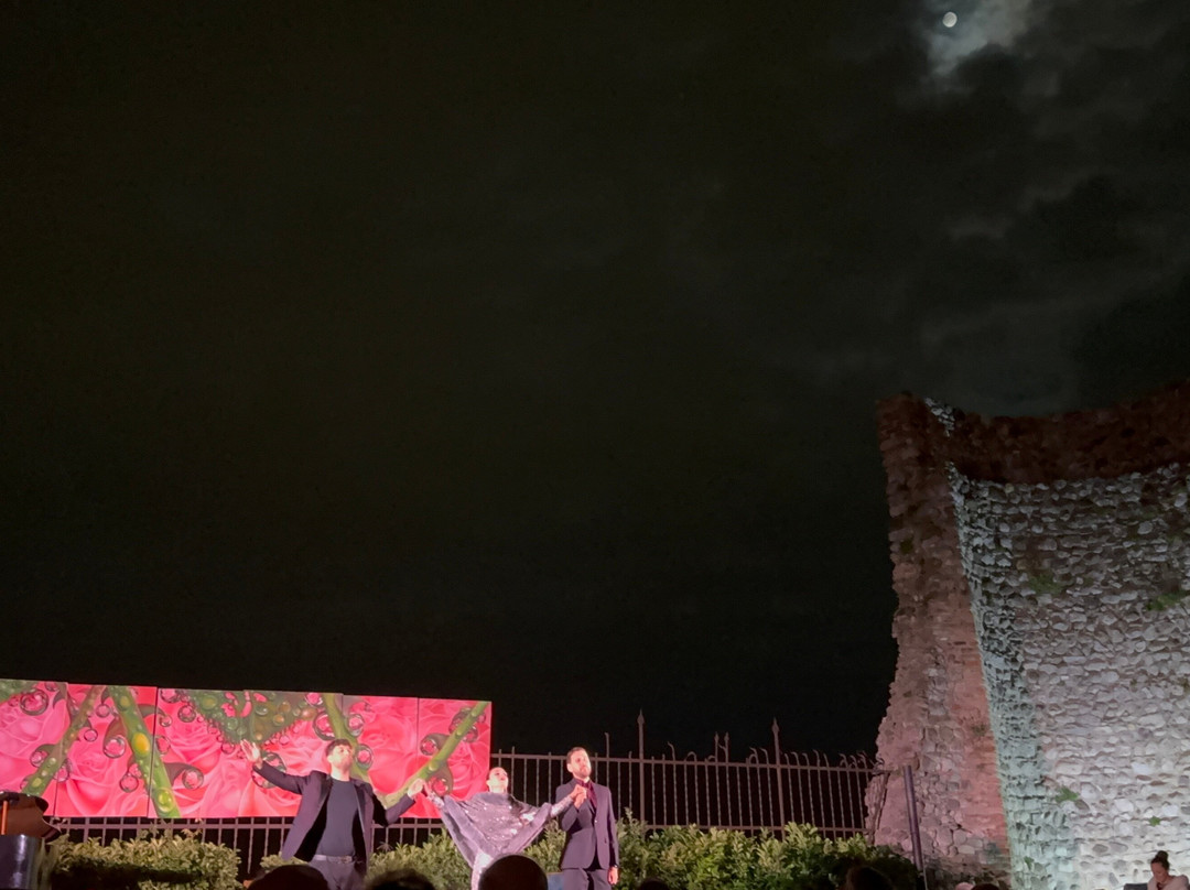 Castello di Desenzano-代森扎诺-德尔加达必去景点