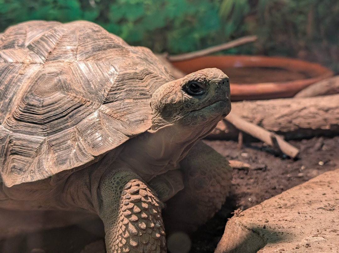 Riverside Reptiles Education Center-Enfield必去景点