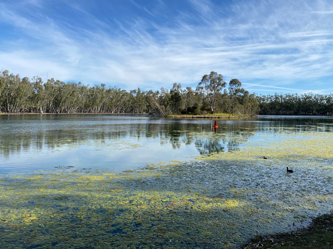 Nhill Lake-Nhill必去景点