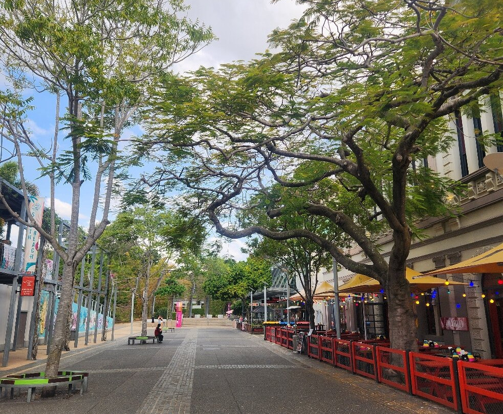 南岸公园-布里斯班必去景点