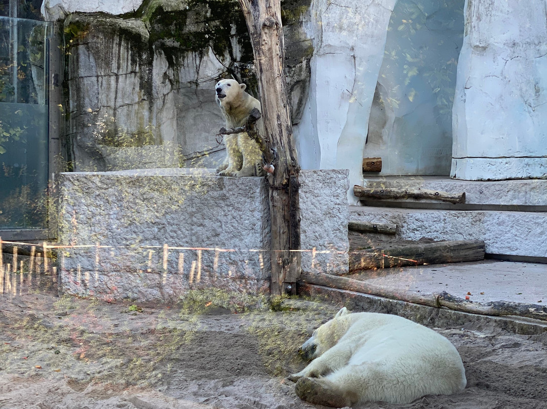 Zoo Karlsruhe-卡尔斯鲁厄必去景点