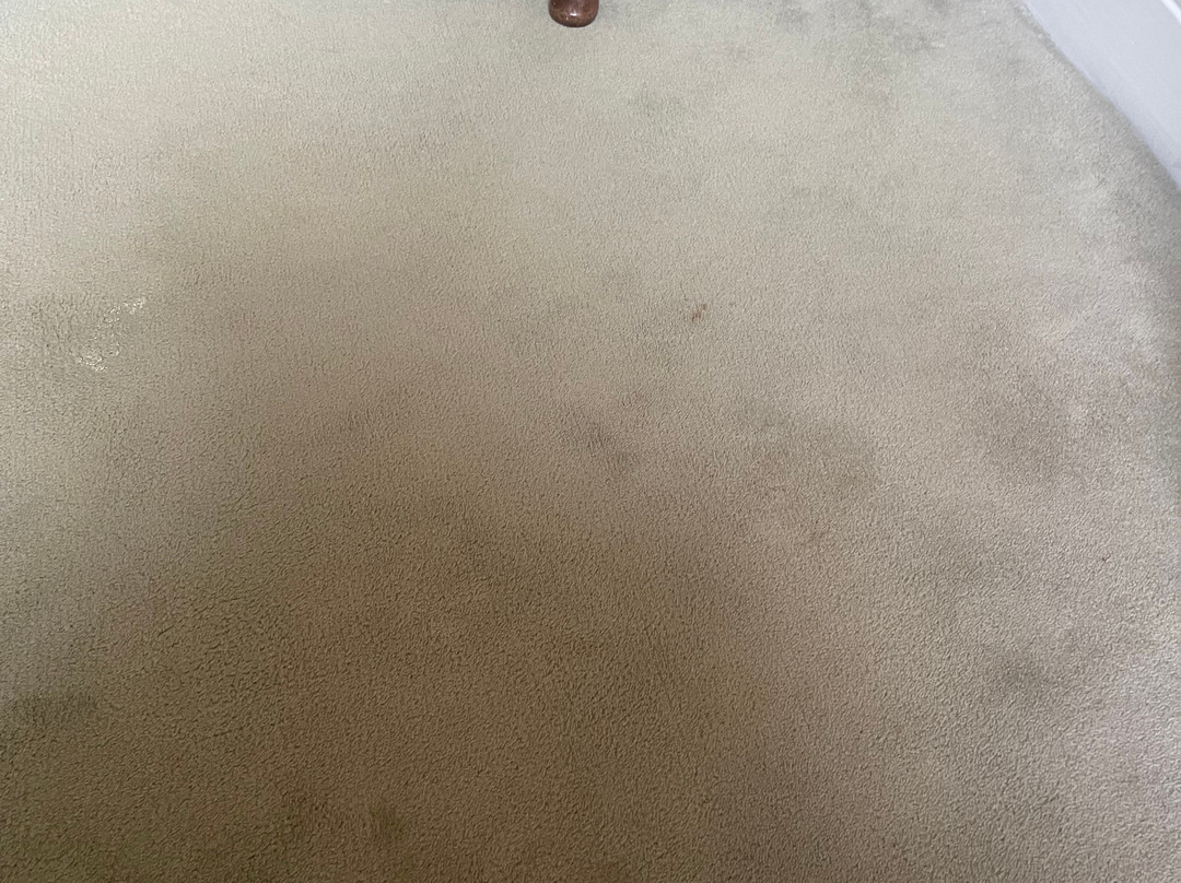 巴博斯特城堡酒店主图