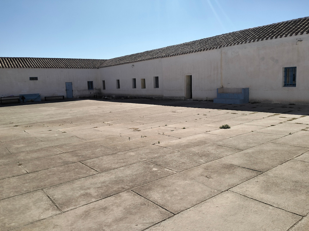 Asinara Charter Service-斯廷蒂诺必去景点