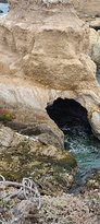 Los Osos Oaks State Reserve景点图片