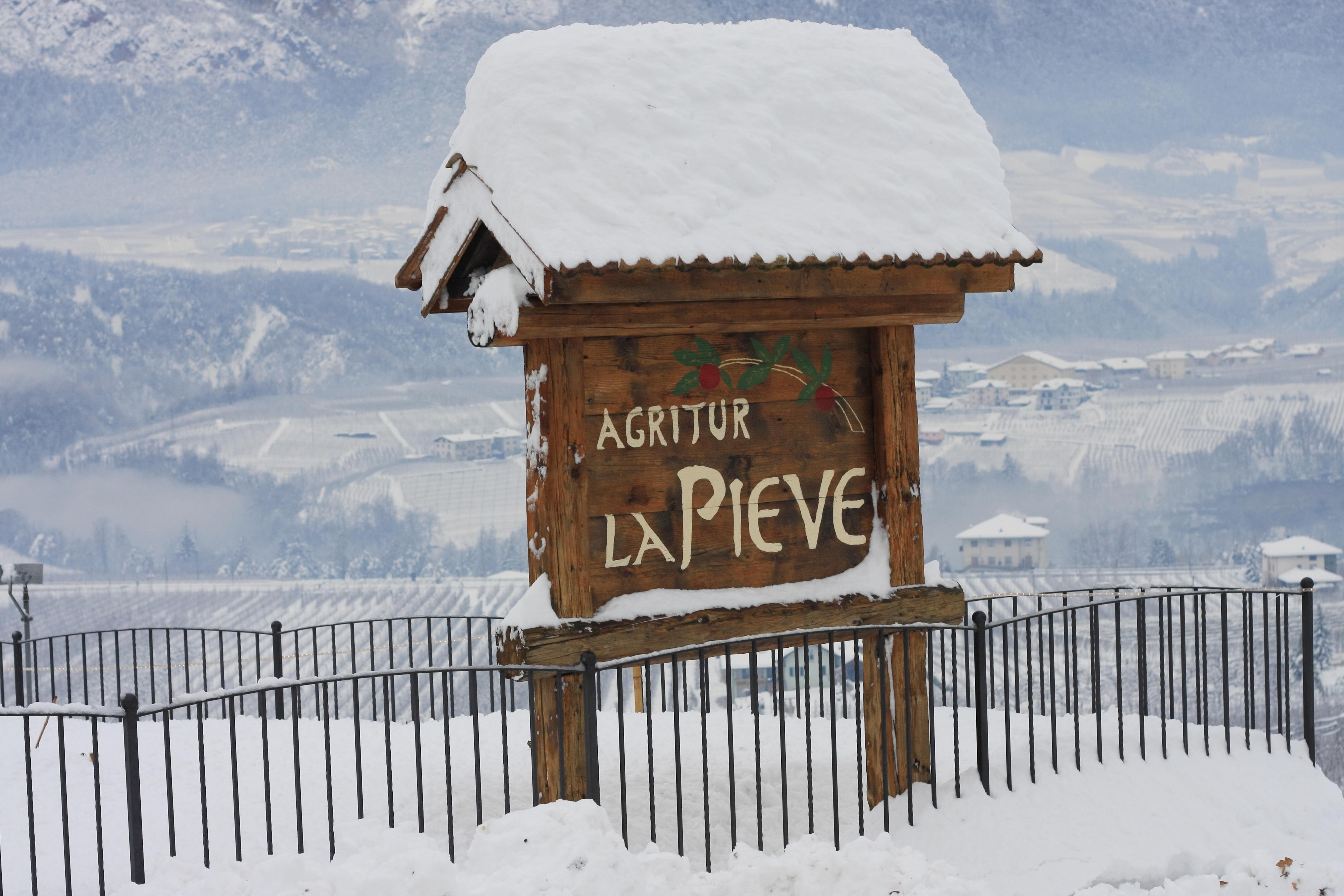 Agriturismo La Pieve-客卧