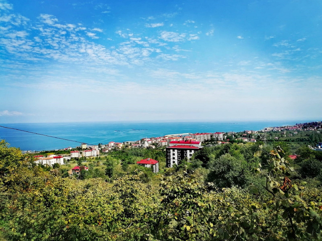 Guzelyali旅游攻略图片