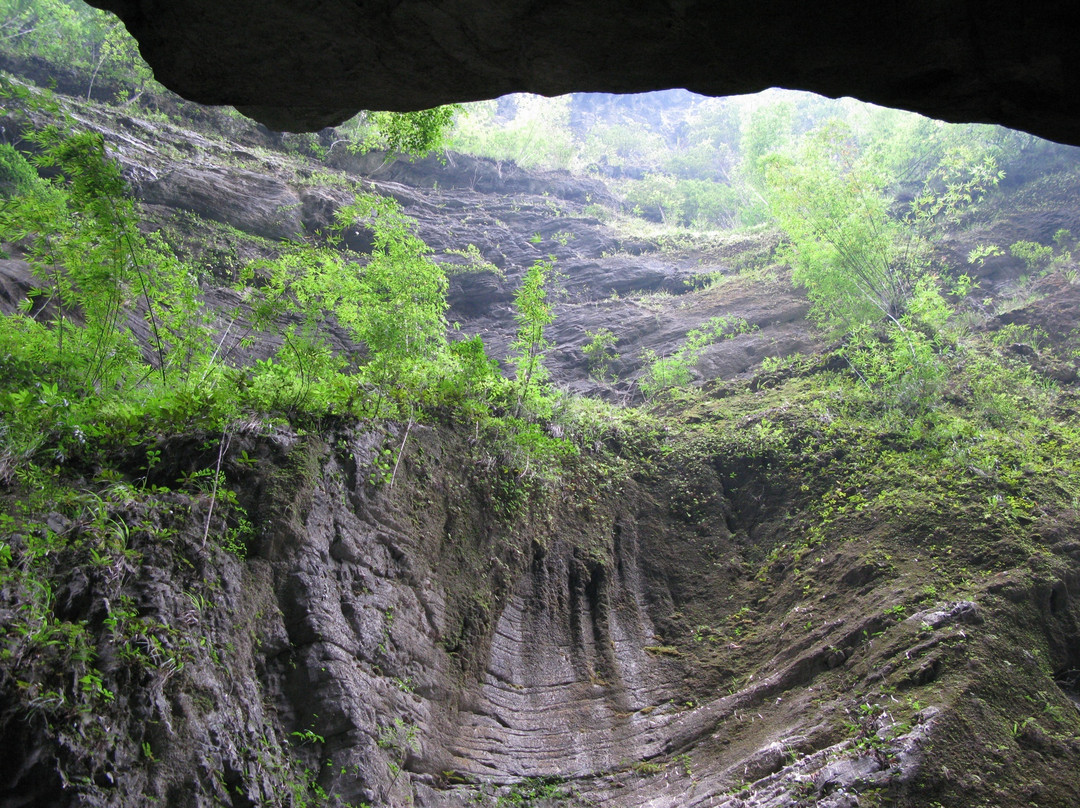 武隆岩溶地质公园景点图片