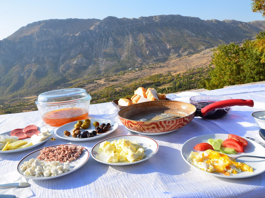 Karadut酒店住宿-Nemrut Hotel
