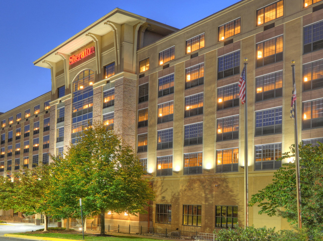 Sheraton Baltimore Washington Airport Hotel - BWI主图