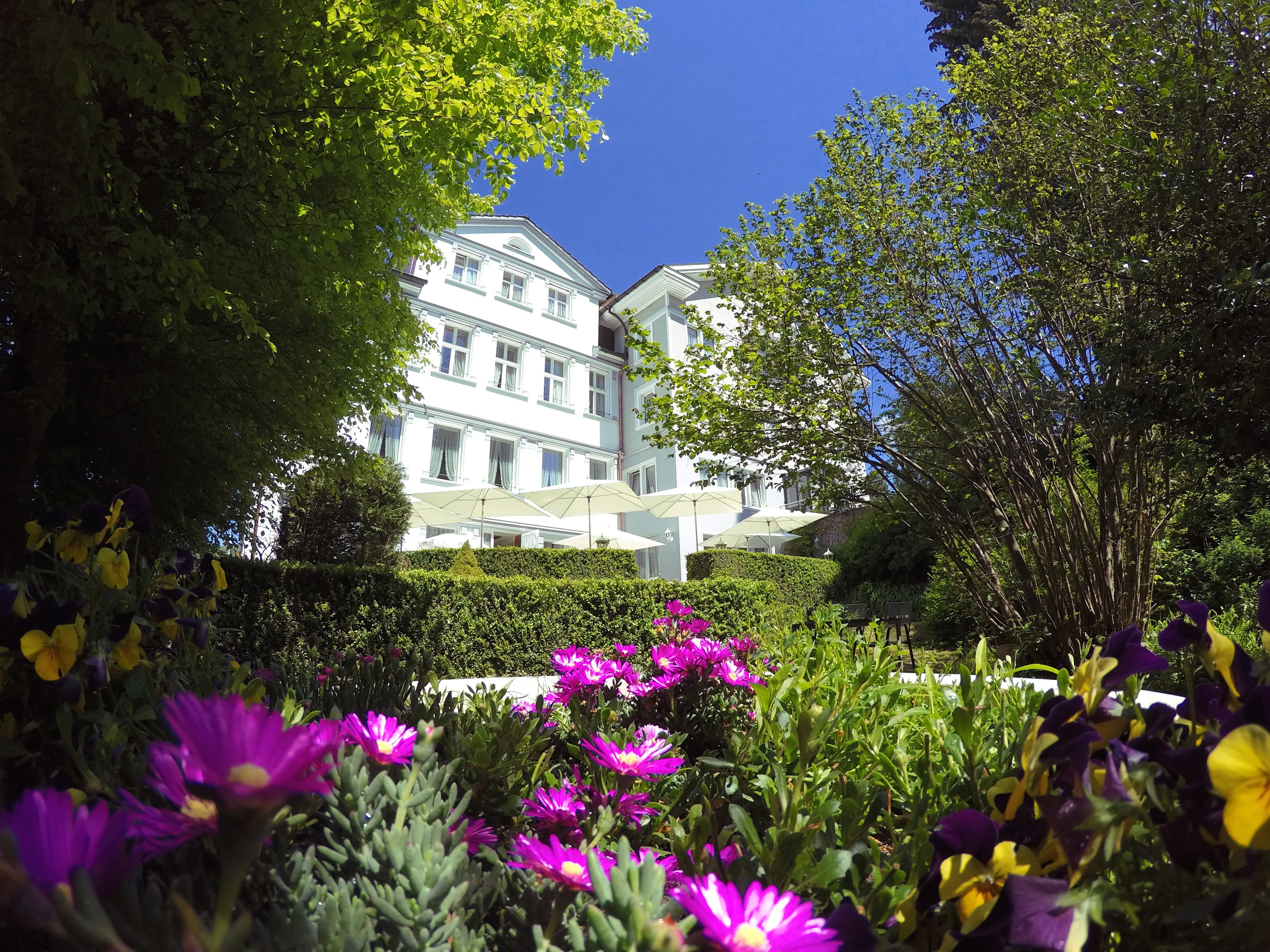 Hotel zur Linde-官方