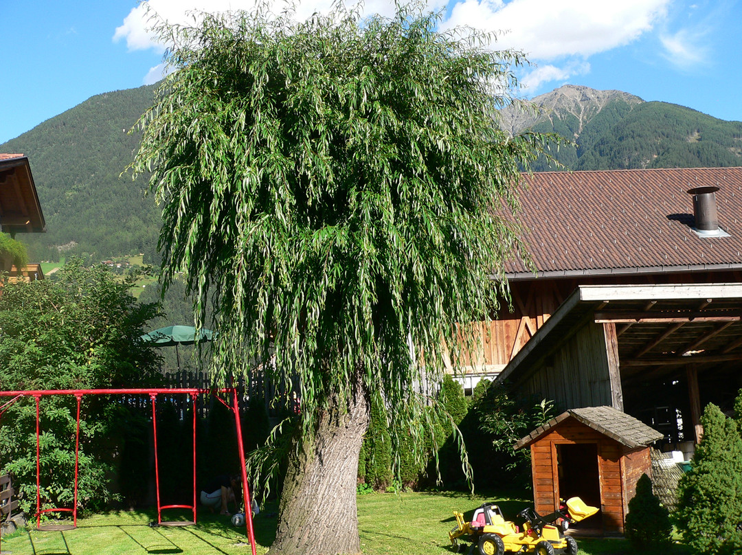 Residence Pfeifhofer