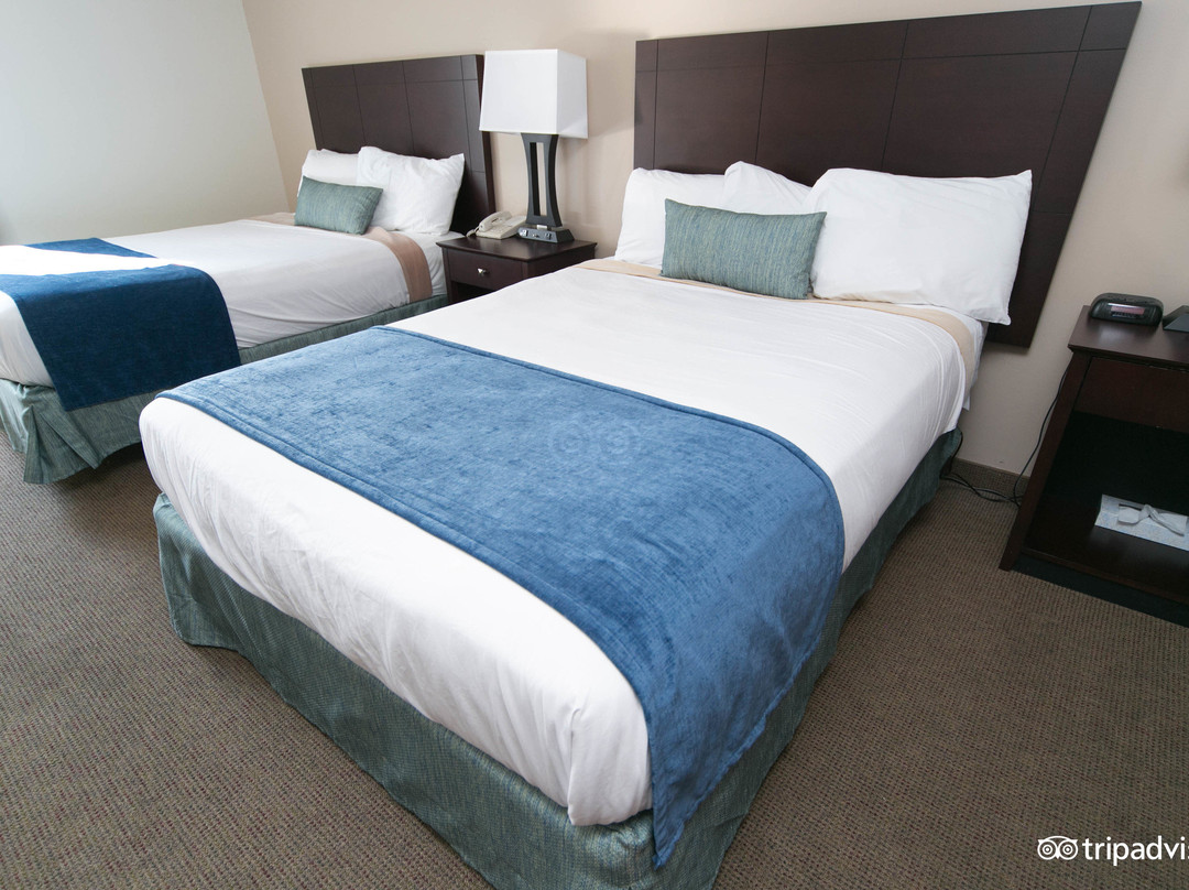 Put in Bay酒店住宿-Bay Lodging Resort