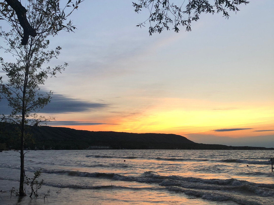 蓝山酒店住宿-The Lake At Blue Mountains