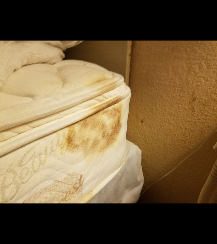 Canterbury Inn and Suites