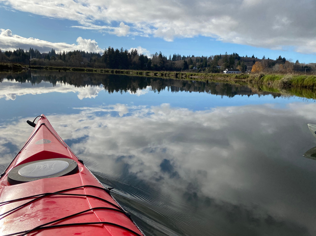 Willapa Paddle Adventures景点图片