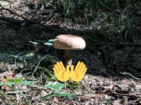 Cantigny Golf Club-Wheaton必去景点