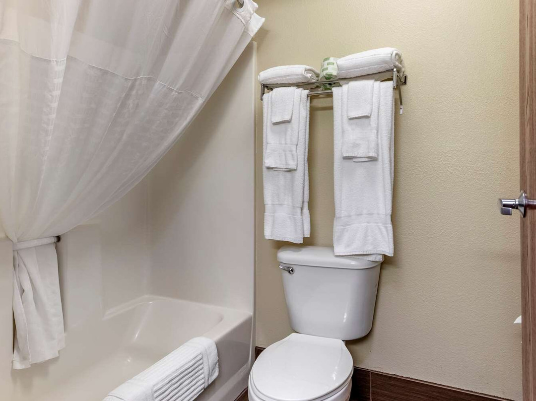 Comfort Suites - Grandville主图