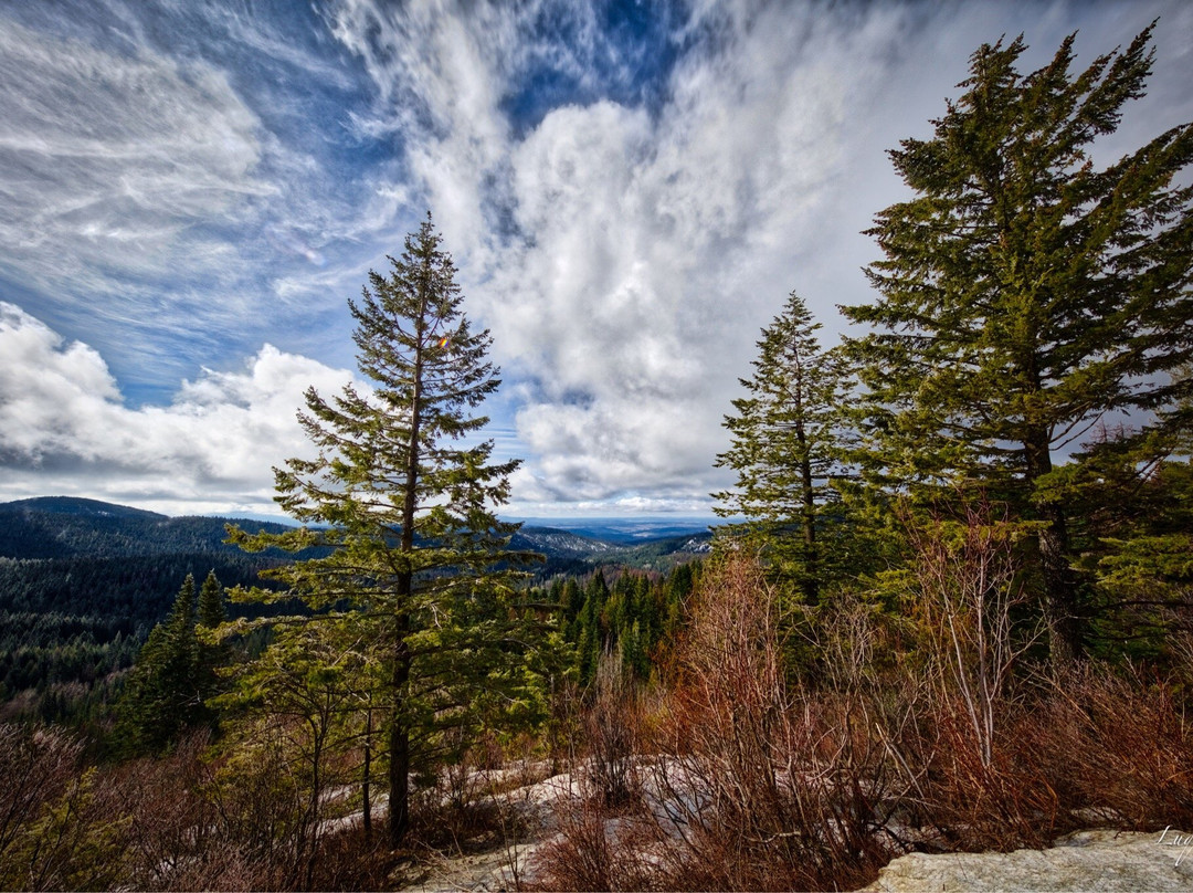 Mount Spokane景点图片