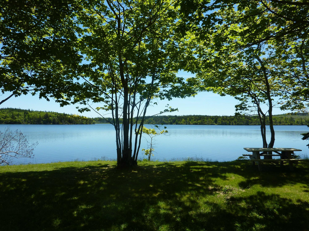 Lake Midway Provincial Park景点图片