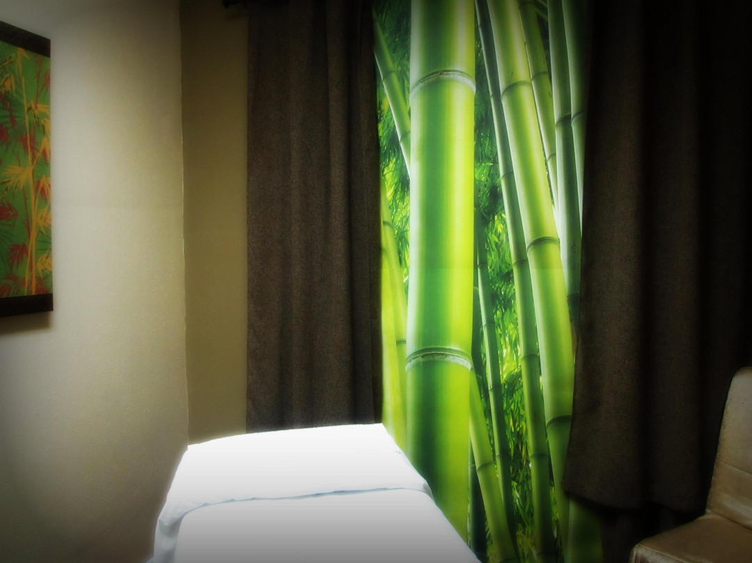 Alamo旅游景点-Massage Masters