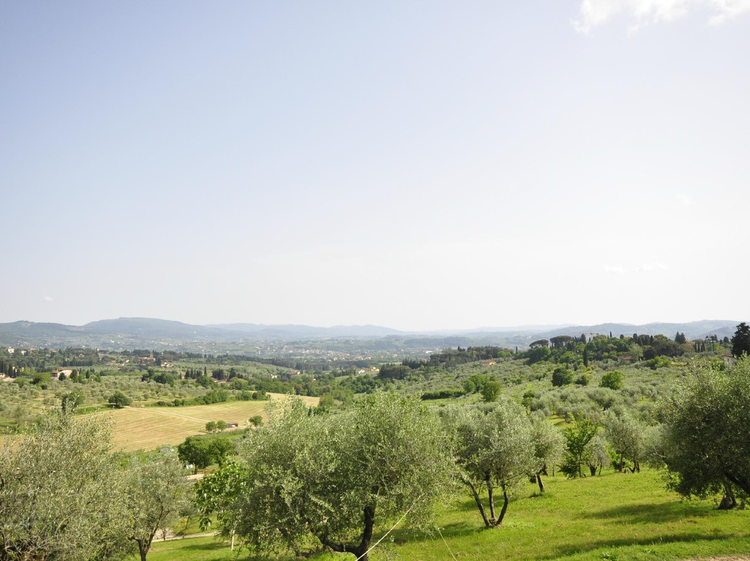 Fattoria di Maiano景点图片