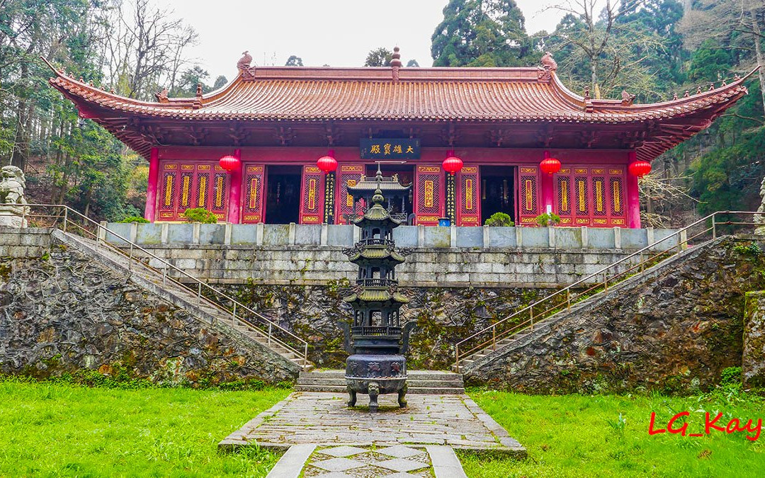三宝树-九江市必去景点