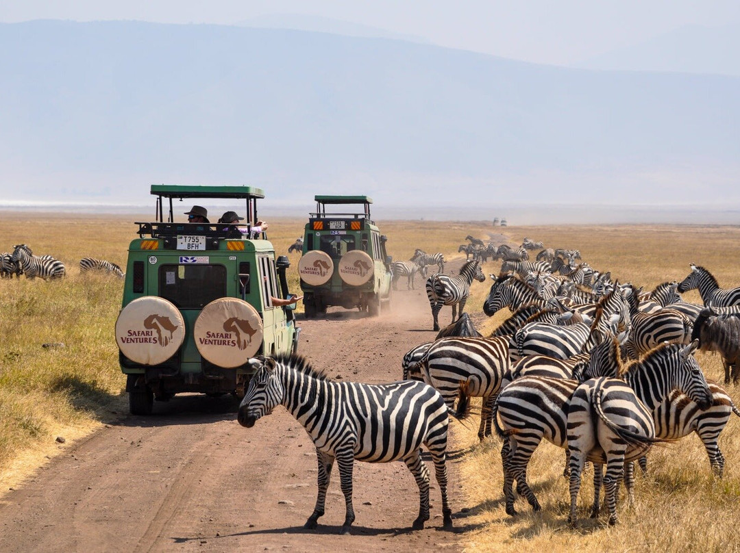 SAFARI VENTURES INC-Usa River必去景点