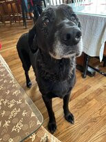 The Bernerhof Inn主图